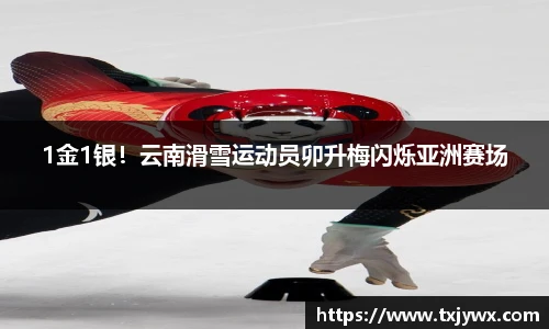 B.vip Sports